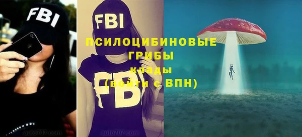 прущий лед Абаза