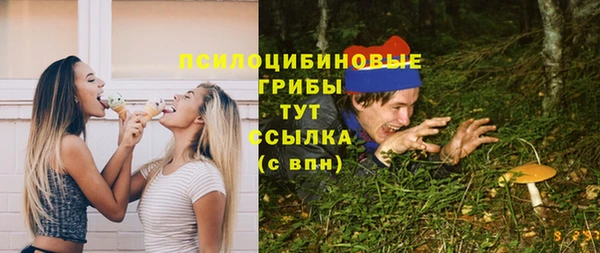 прущий лед Абаза