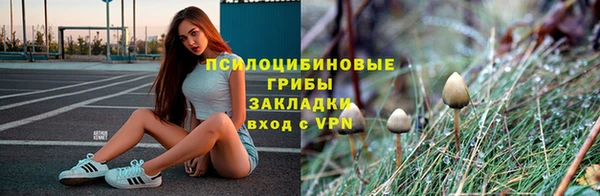 прущий лед Абаза
